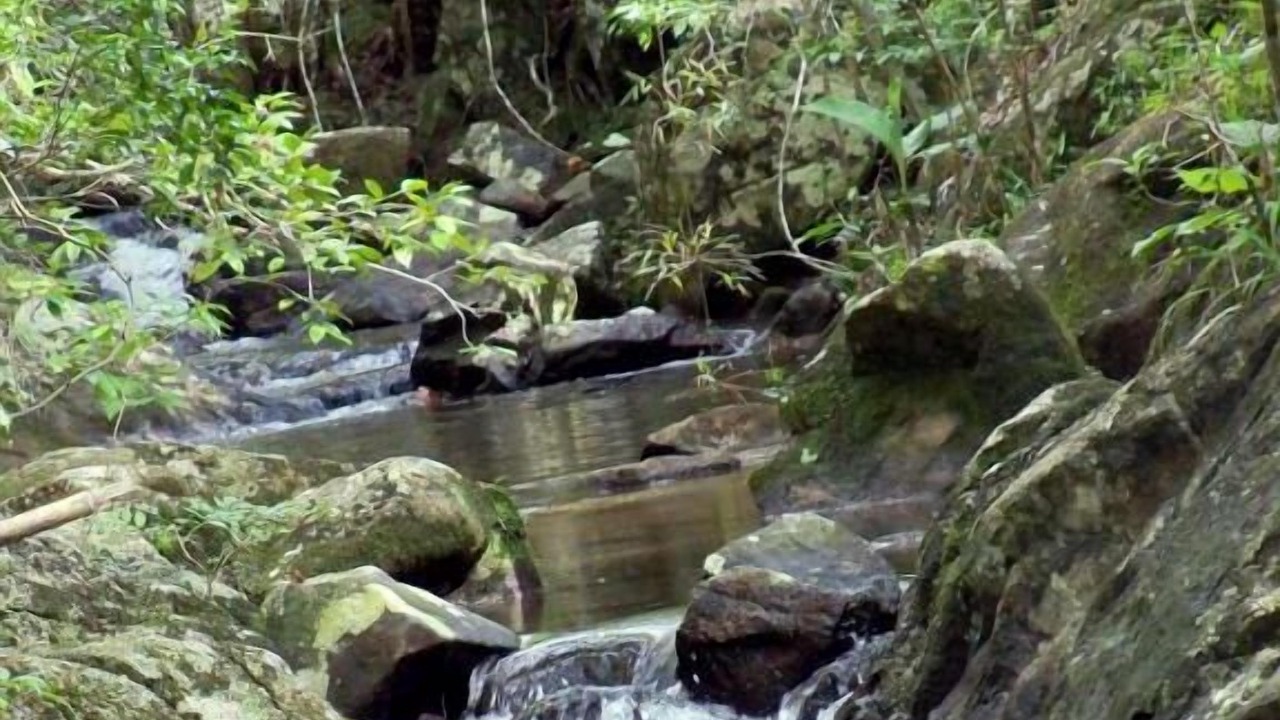 Photo of Outdoor in Acores