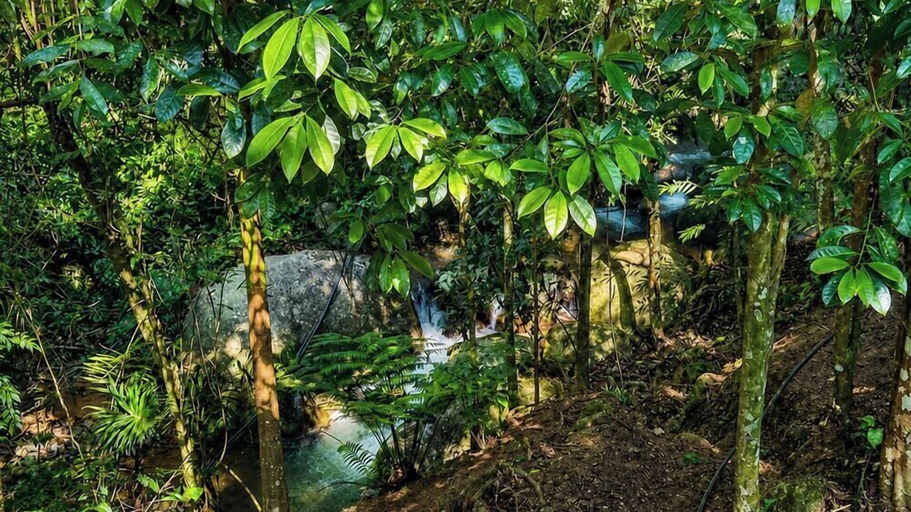Photo of Outdoor in Canelinha