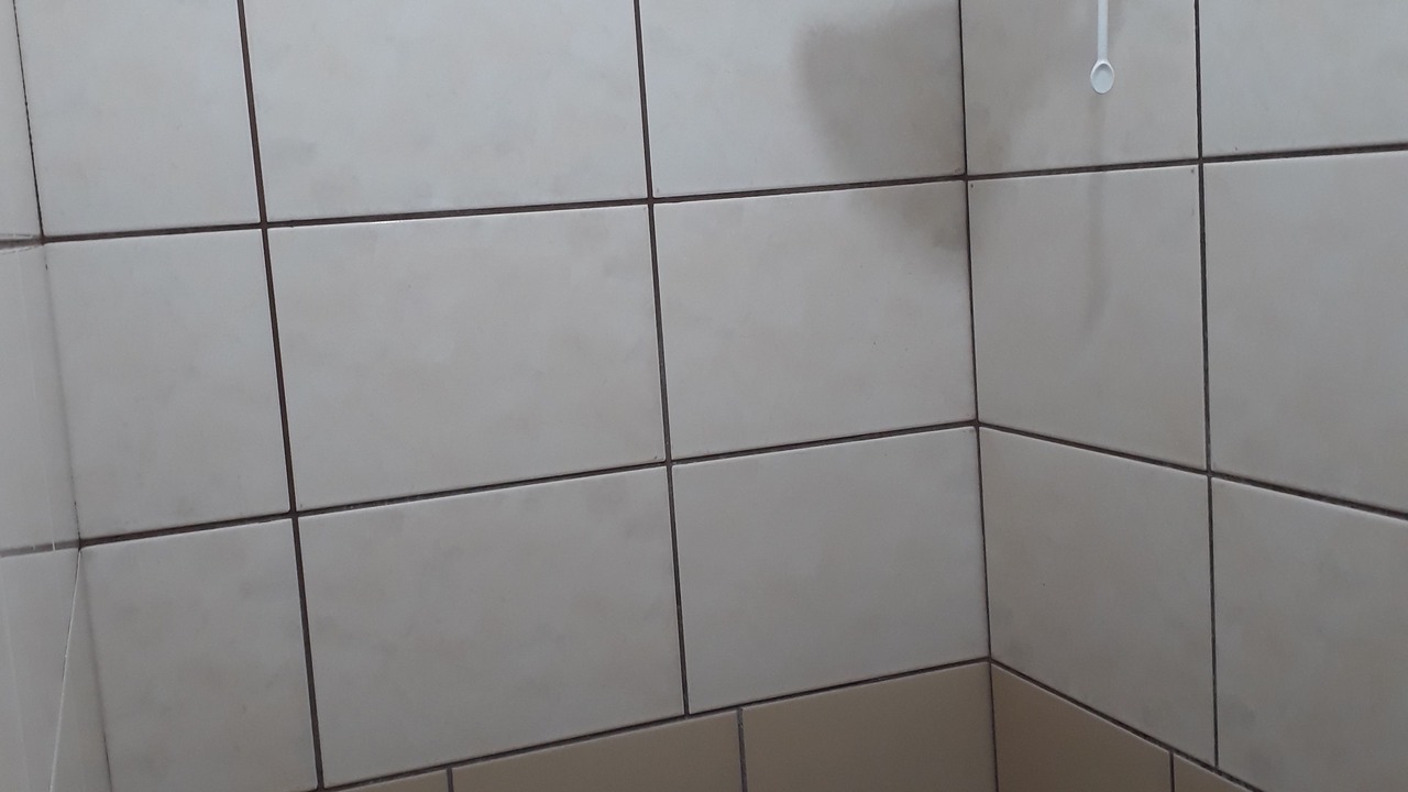 Photo of Bathroom in Centro