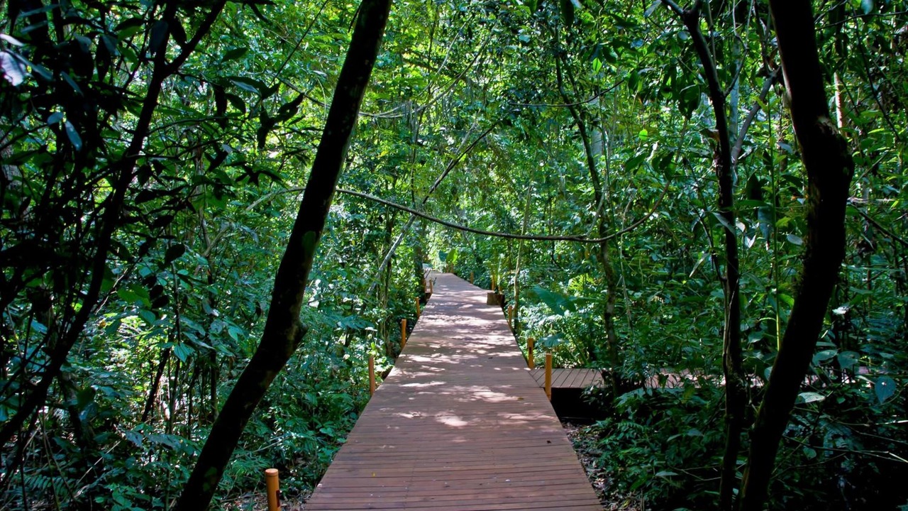 Photo of Outdoor in Puerto Iguazu