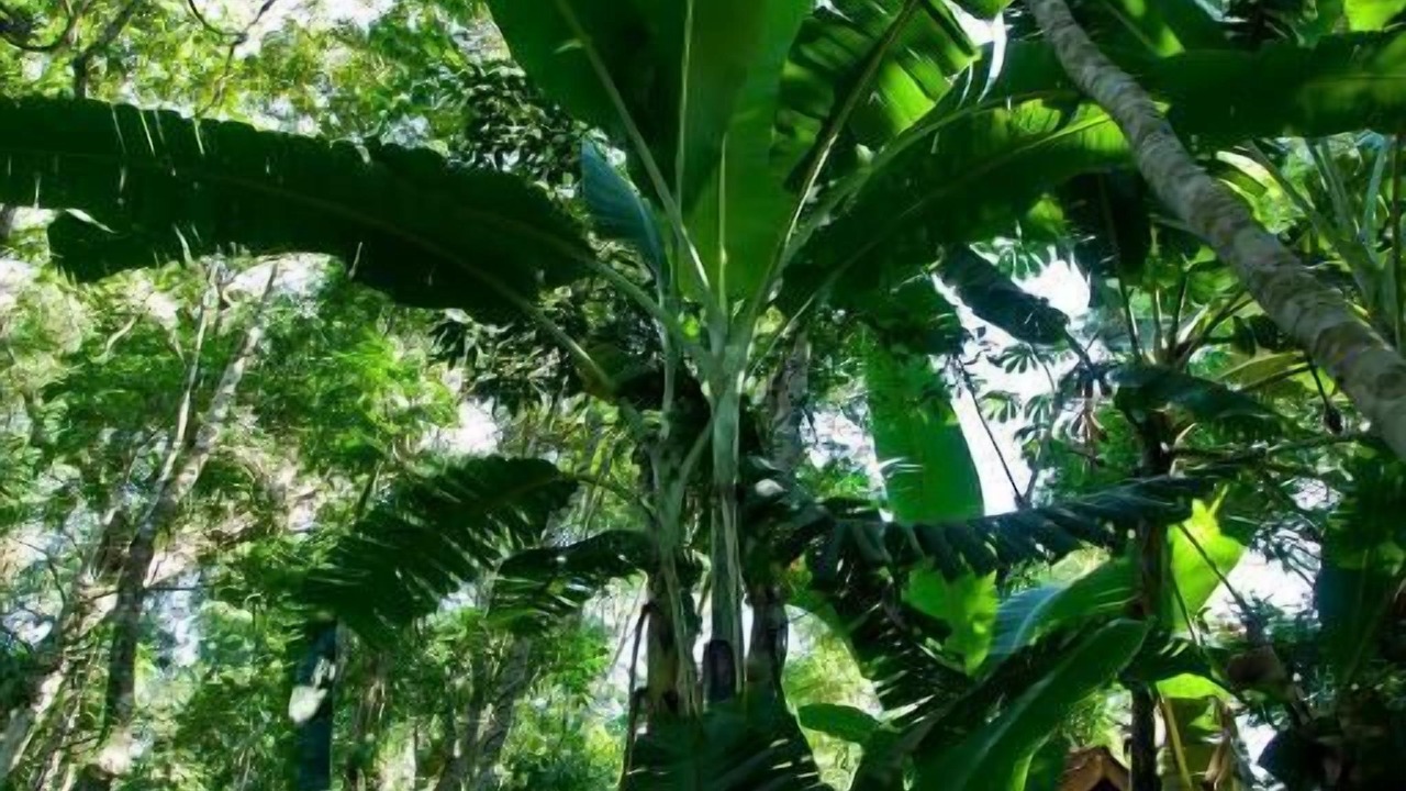 Photo of Outdoor in Puerto Iguazu