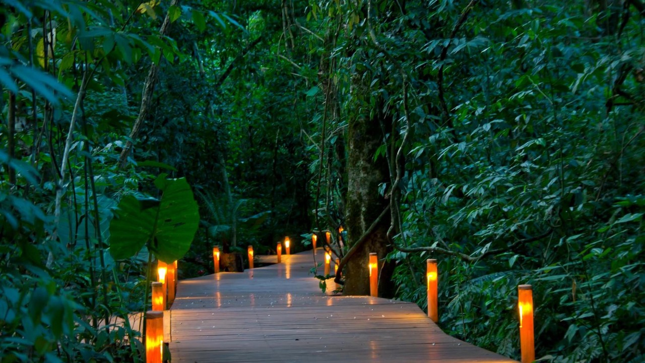 Photo of Outdoor in Puerto Iguazu