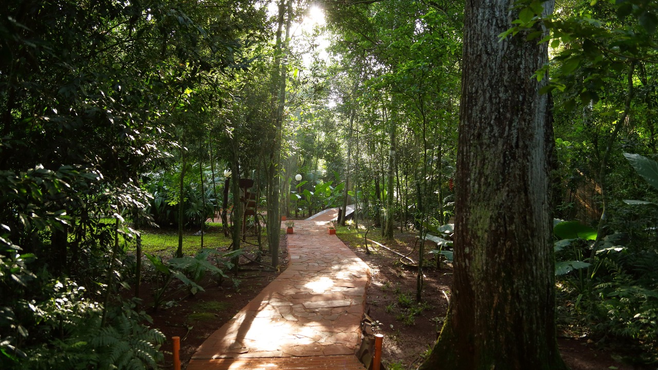 Photo of Outdoor in Puerto Iguazu