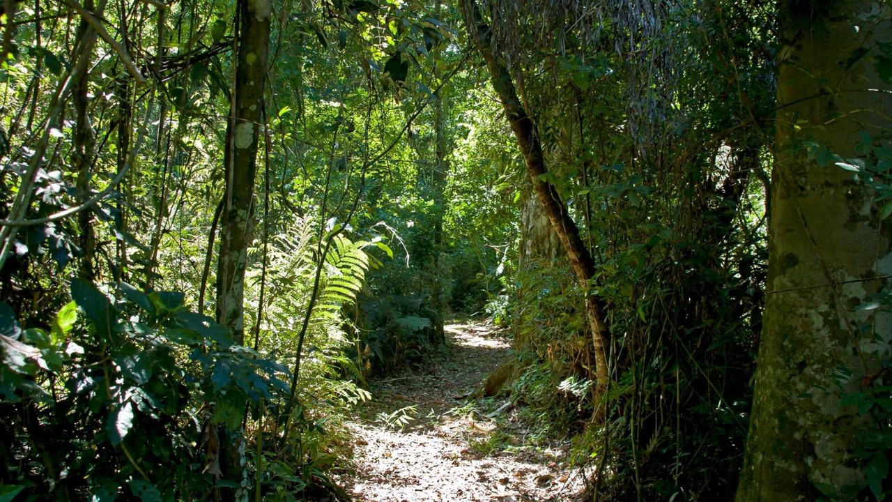 Photo of Outdoor in Puerto Iguazu