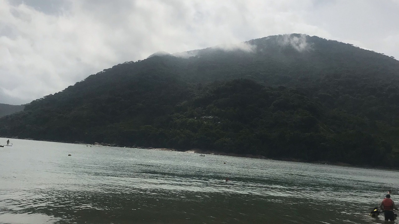 Photo of Others in Toninhas