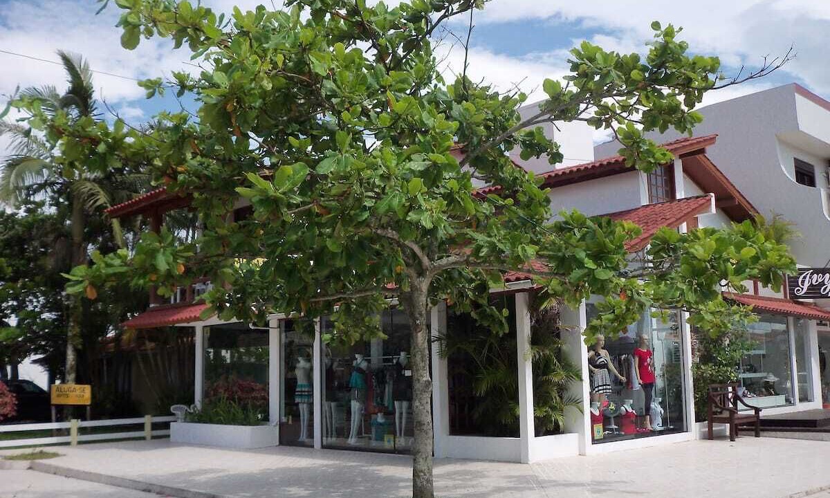 Photo of Outdoor in Centro