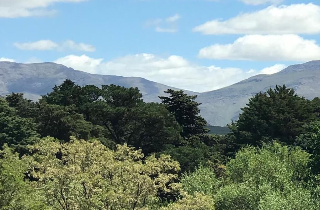Photo of Others in Sierra de la Ventana