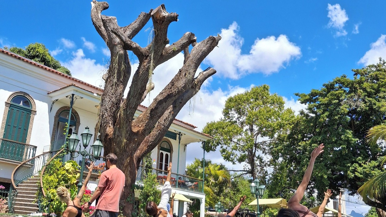 Photo of Outdoor in Santa Teresa