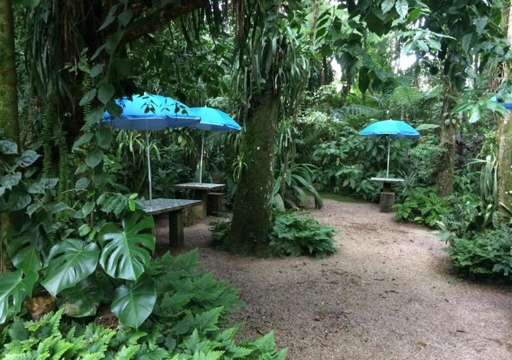 Photo of Outdoor in Morretes