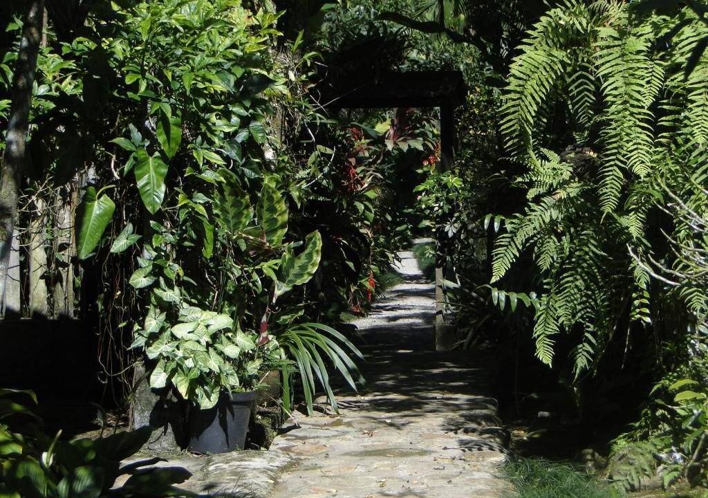 Photo of Outdoor in Morretes