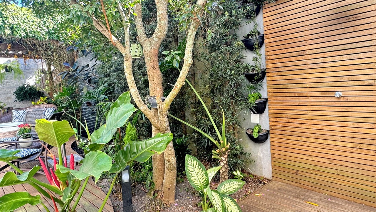 Photo of Outdoor in Campeche Leste