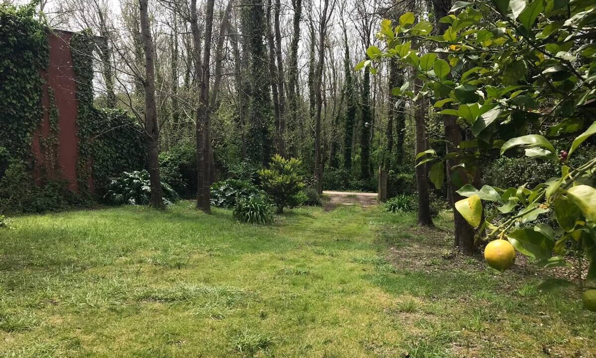 Photo of Outdoor in Mar de Cobo