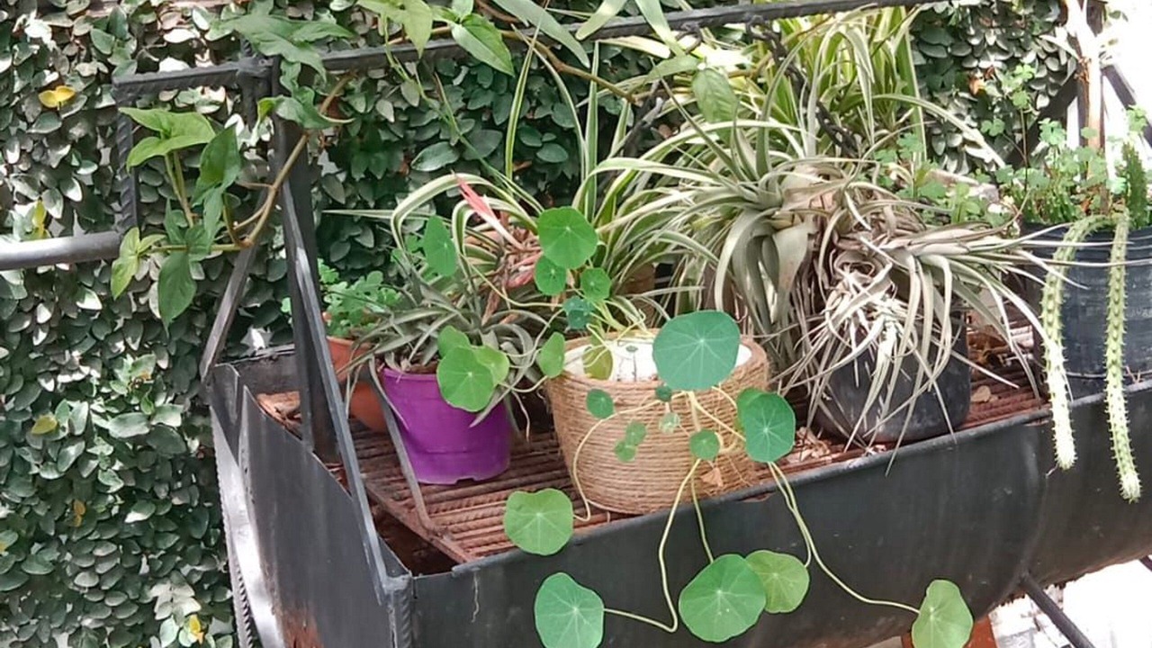 Photo of Outdoor in Yerba Buena
