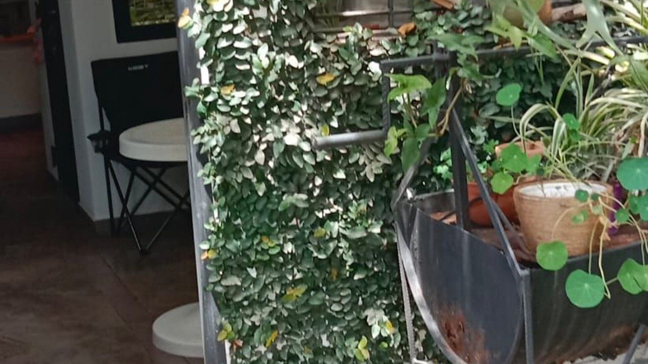 Photo of Outdoor in Yerba Buena