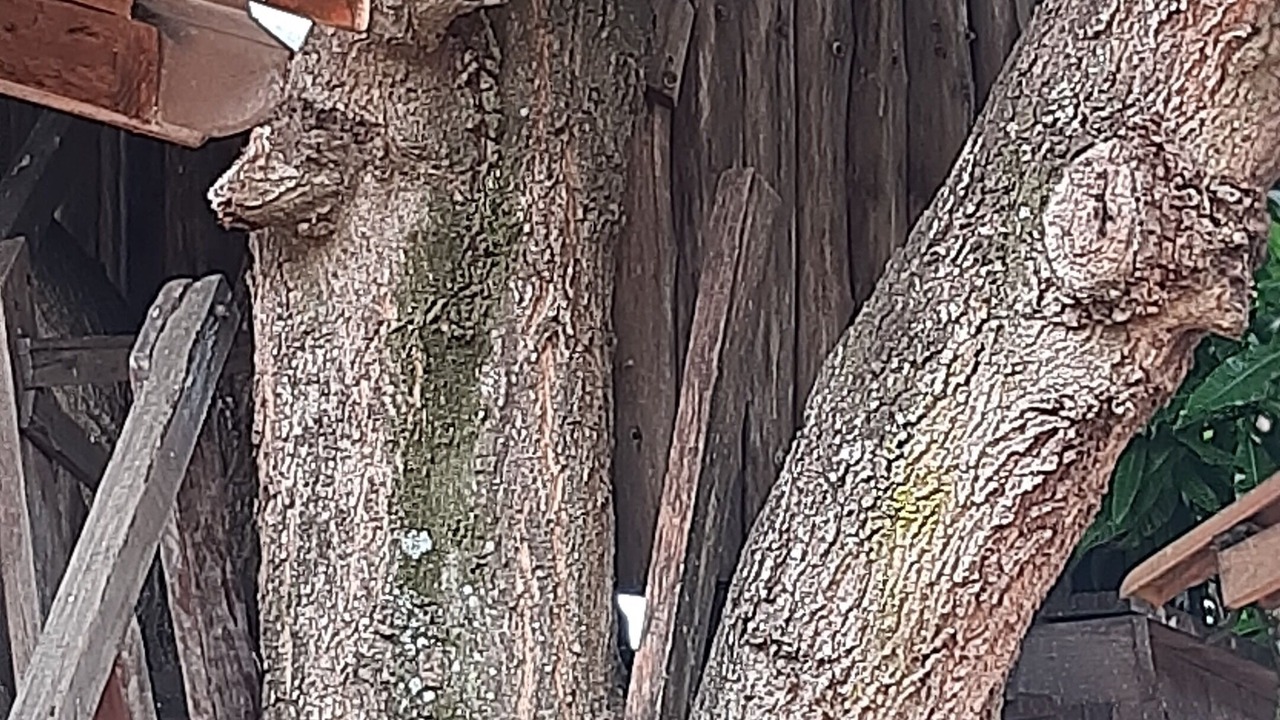 Photo of Outdoor in Olimpia