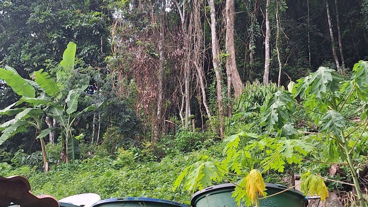 Photo of Outdoor in Ilha Grande