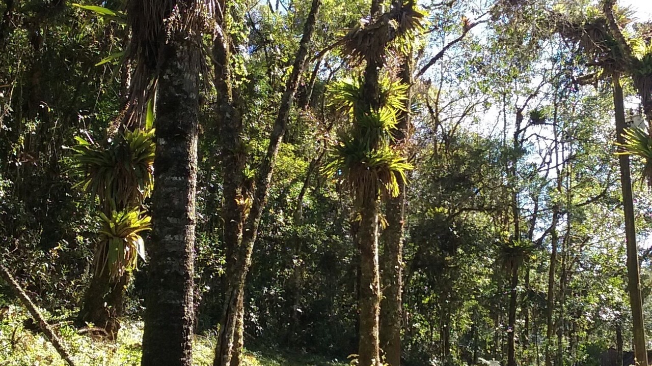 Photo of Outdoor in Cunha