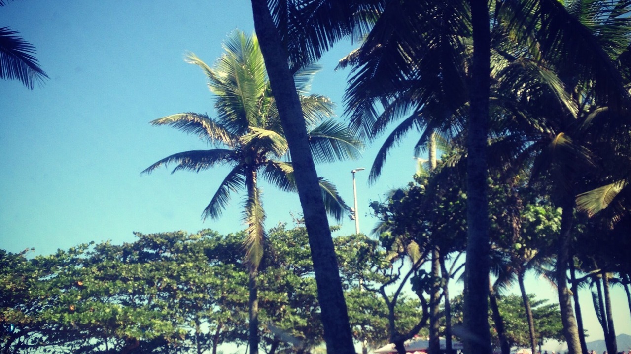 Photo of Outdoor in Barra da Tijuca