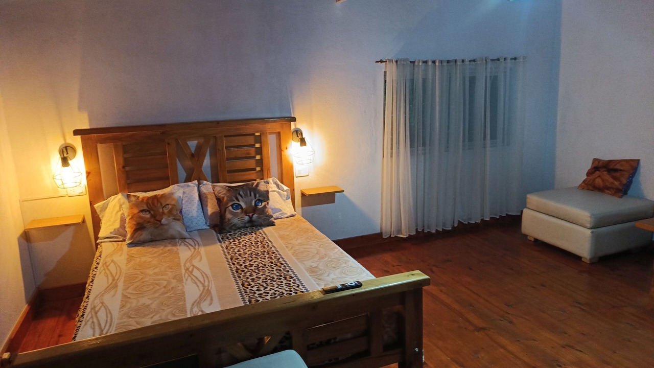 Photo of Bedroom in Mar del Plata