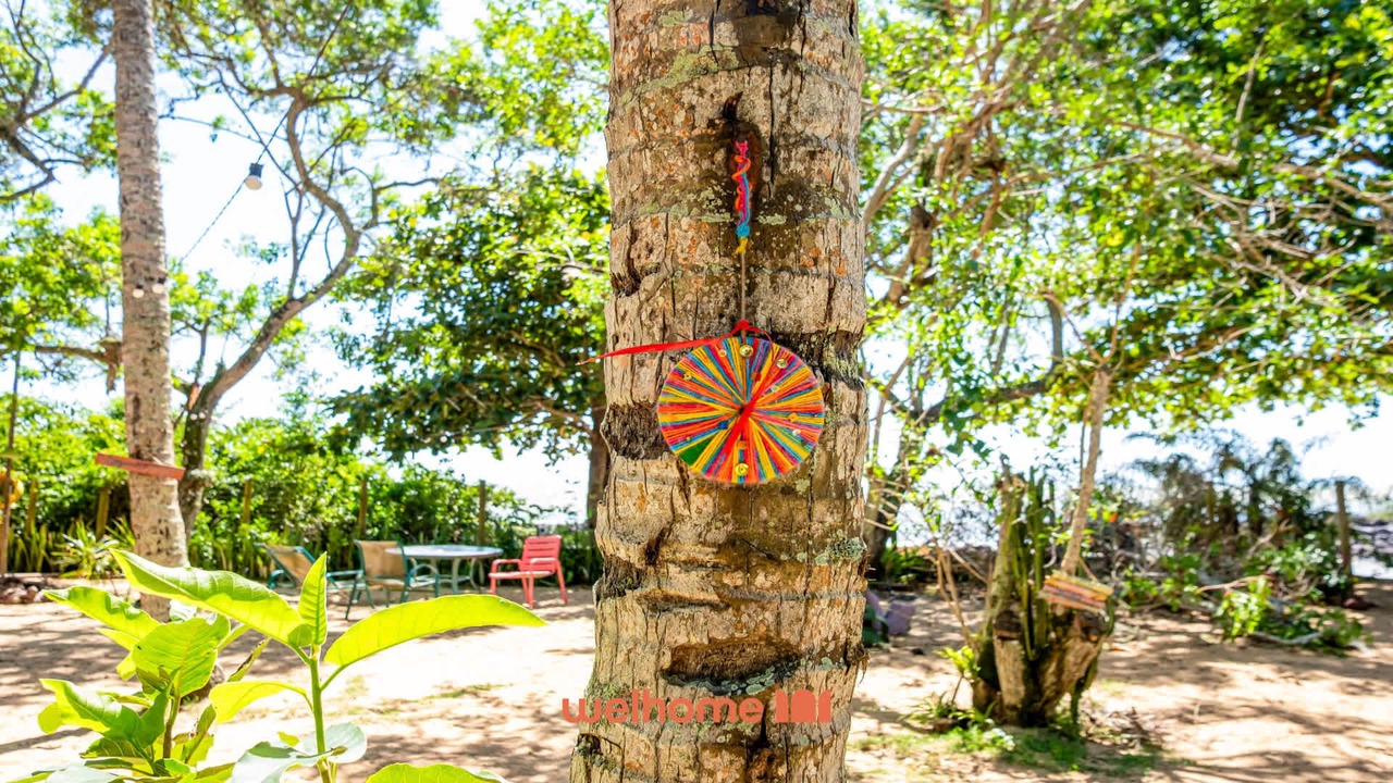 Photo of Outdoor in Praia Formosa