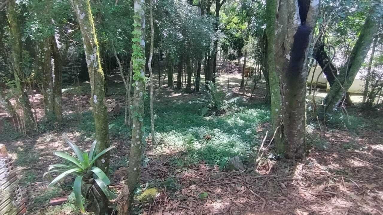 Photo of Outdoor in Canela