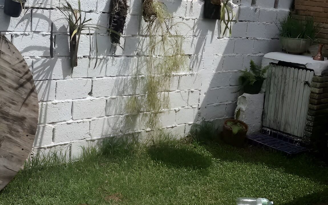 Photo of Outdoor in Maresias