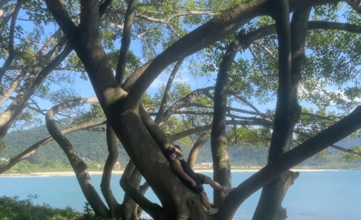 Photo of Others in Tabuleiro dos Oliveiras