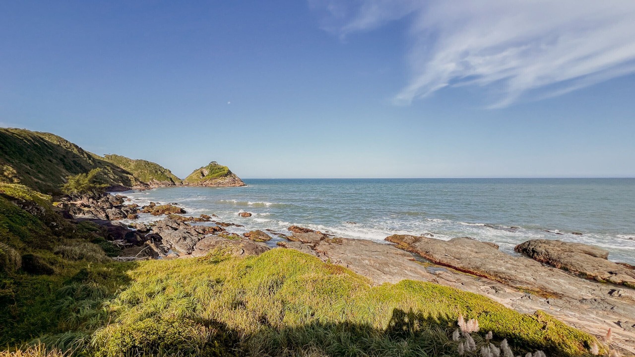 Photo of Others in Praia da Armacao do Itapocoroi