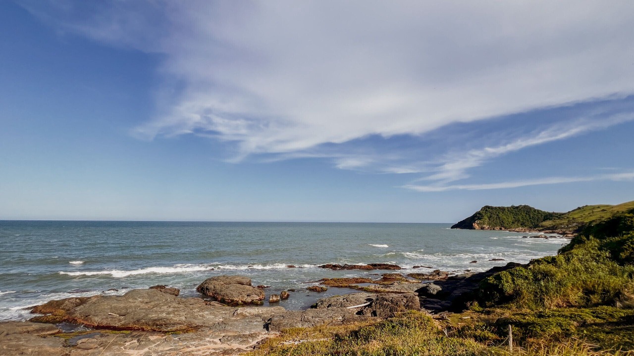 Photo of Others in Praia da Armacao do Itapocoroi