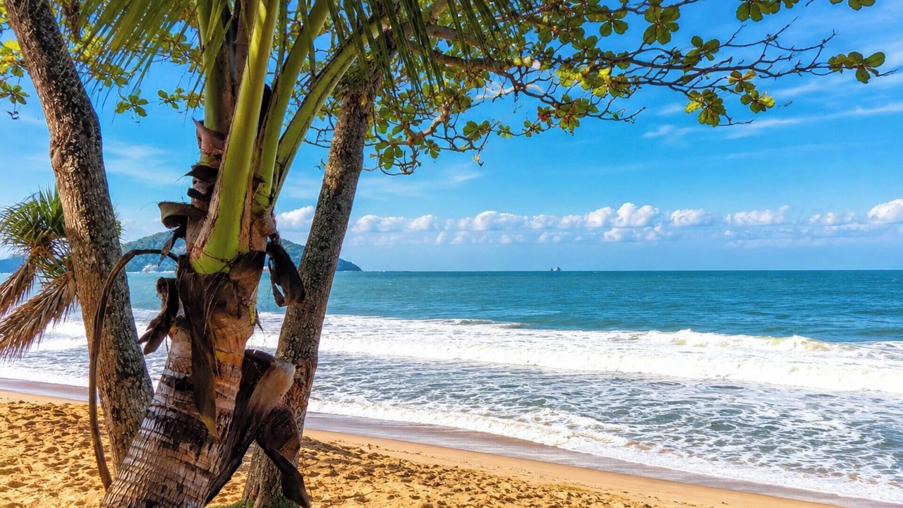 Photo of Others in Praia da Armacao do Itapocoroi