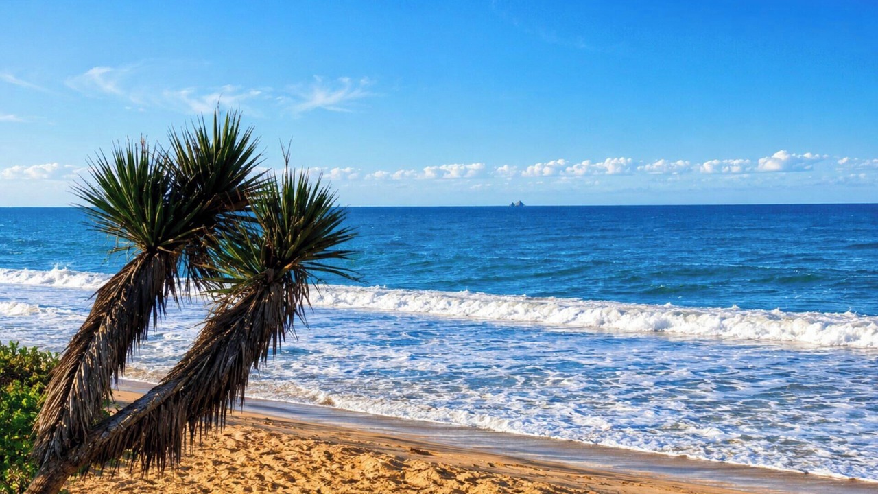 Photo of Others in Praia da Armacao do Itapocoroi