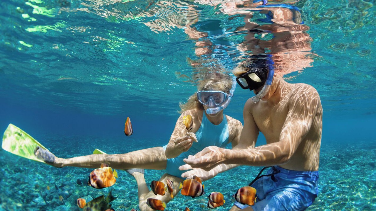 Photo of Others in Paraty