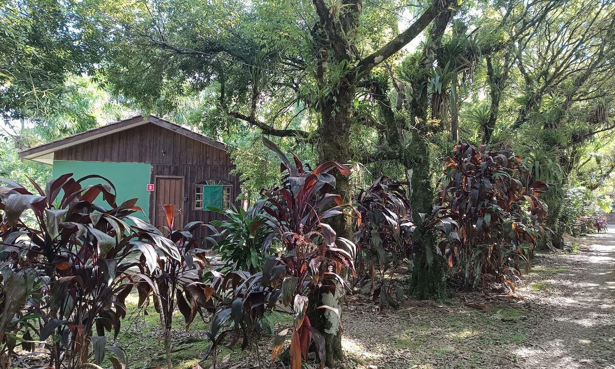 Photo of Outdoor in Morretes