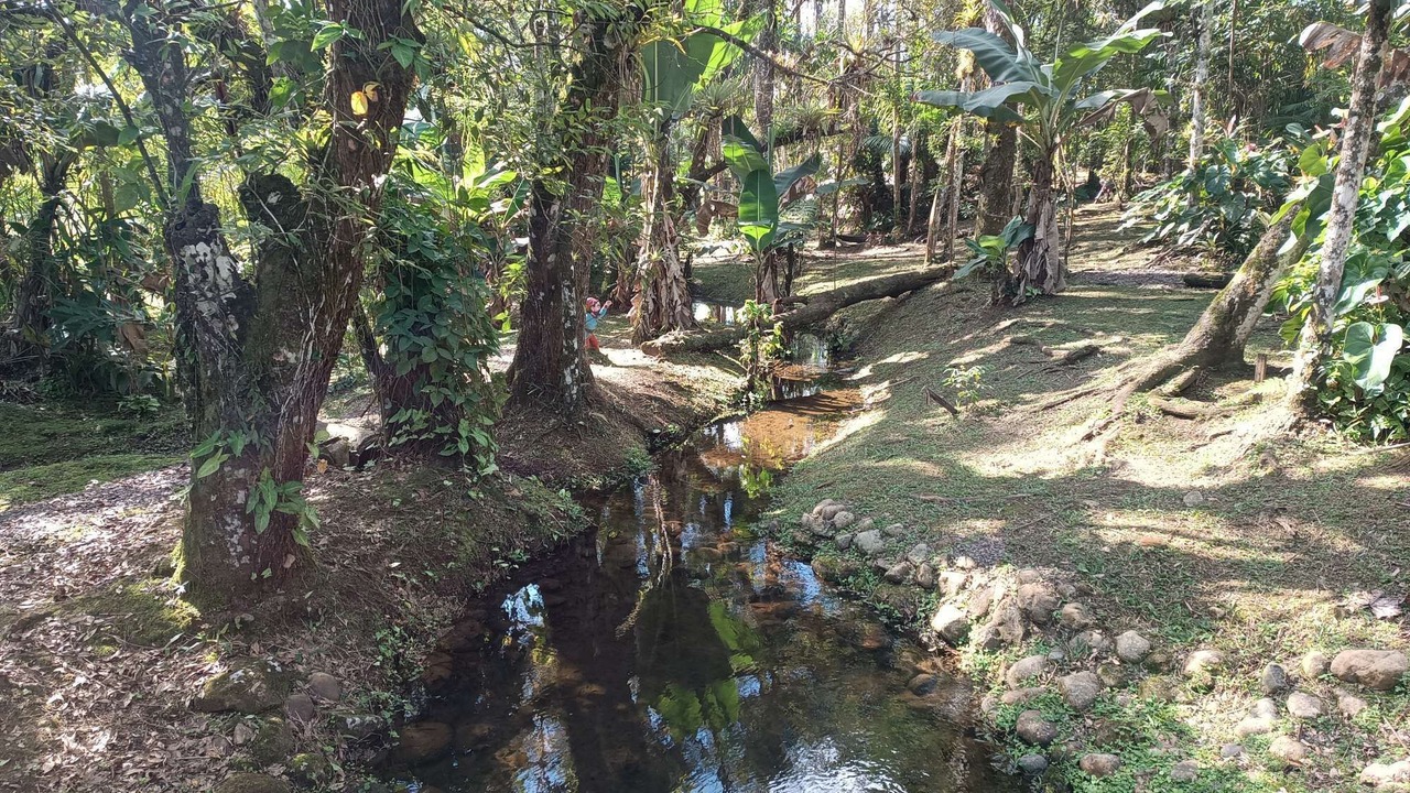 Photo of Others in Morretes
