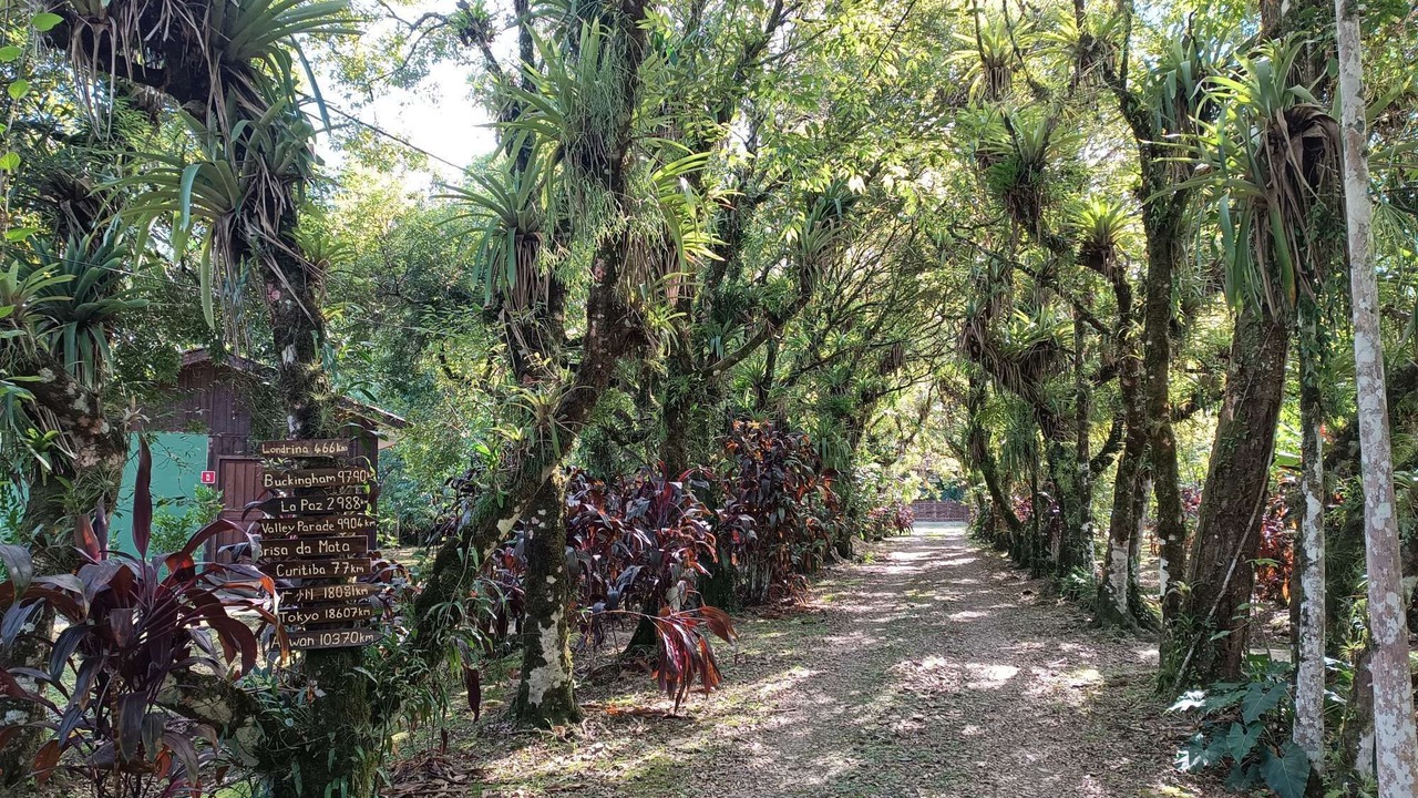 Photo of Outdoor in Morretes