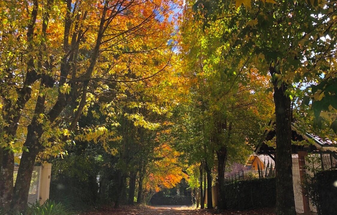 Photo of Outdoor in Jardim Andira
