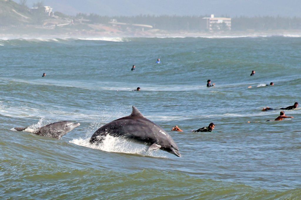 Photo of Others in Laguna