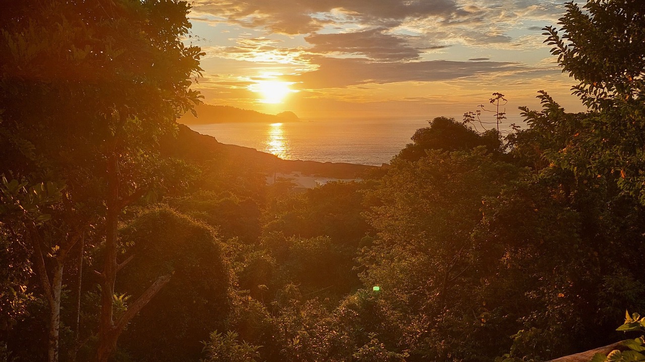 Photo of Others in Trindade