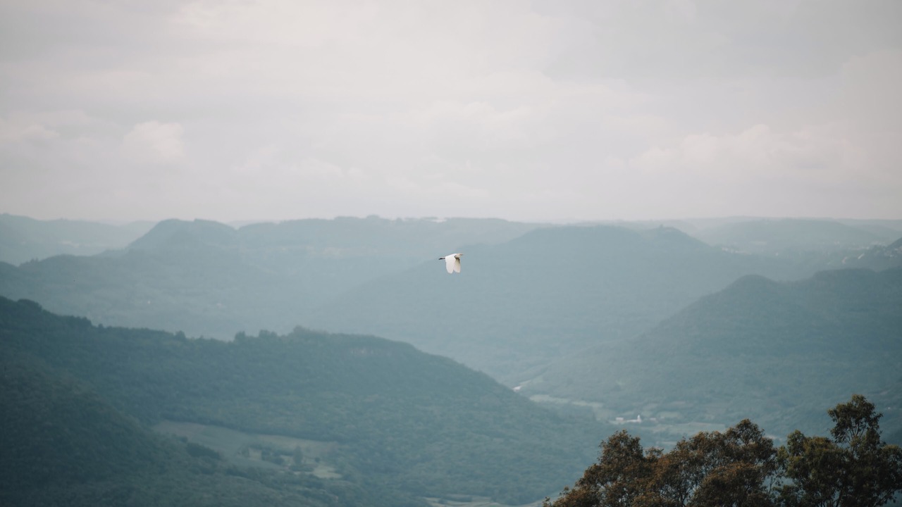 Photo of Others in Caxias do Sul