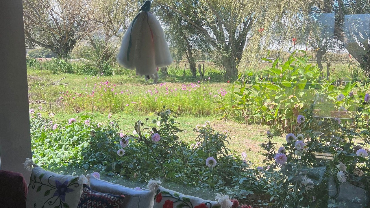 Photo of Bedroom in Tafi del Valle
