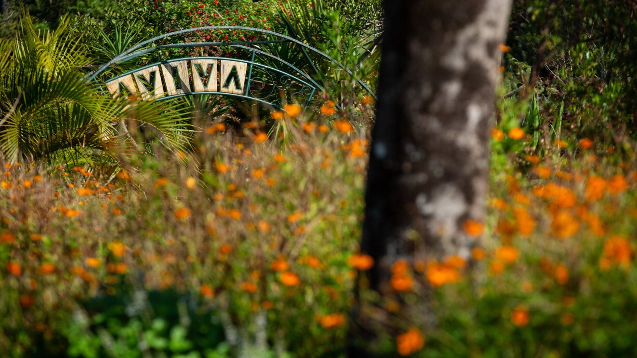 Photo of Outdoor in Florianopolis