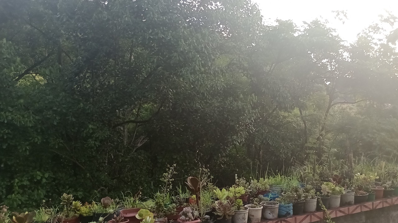 Photo of Outdoor in Garcia