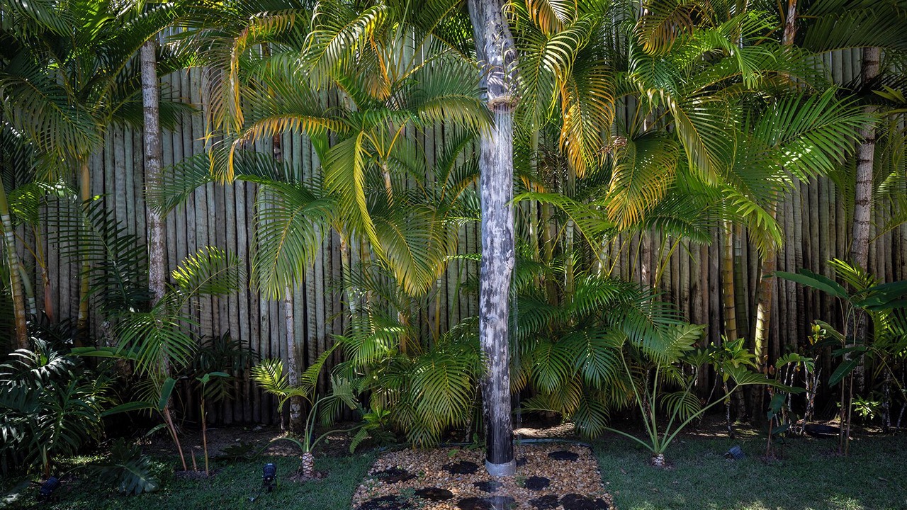 Photo of Outdoor in Trancoso