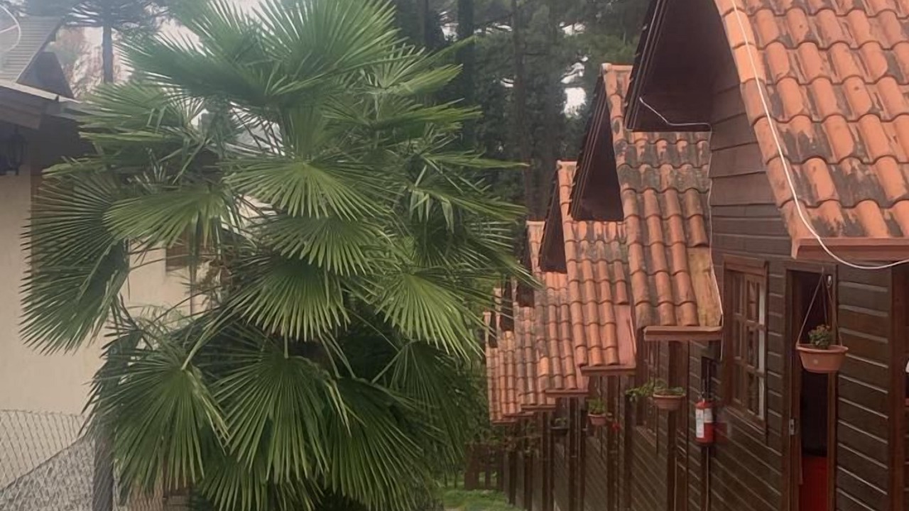 Photo of Outdoor in Floresta