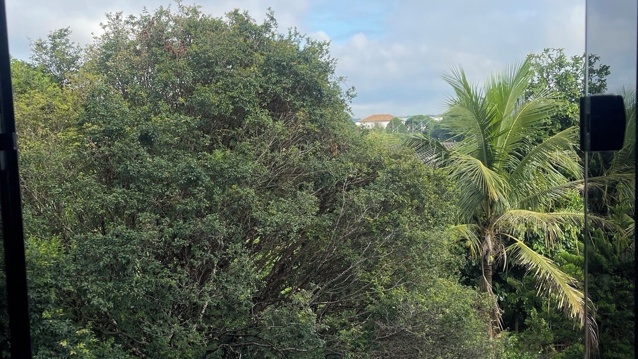 Photo of Others in Sabara