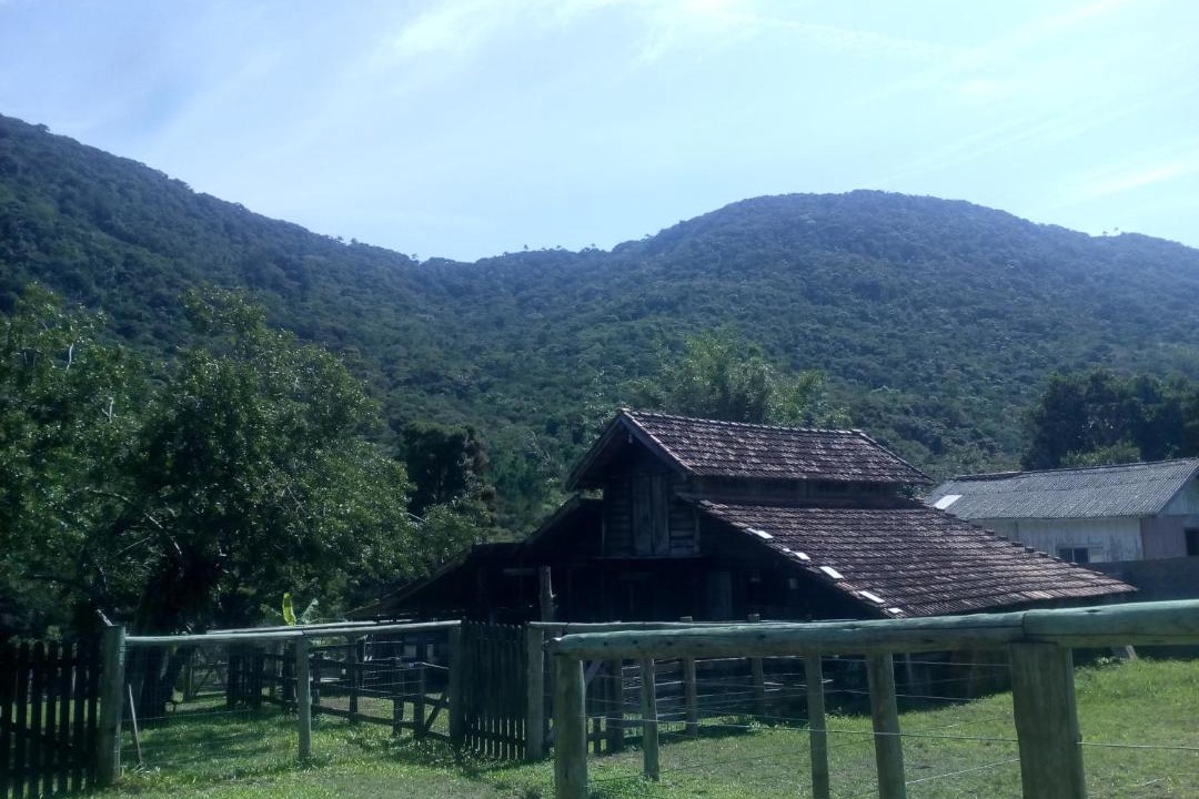 Photo of Others in Muquem