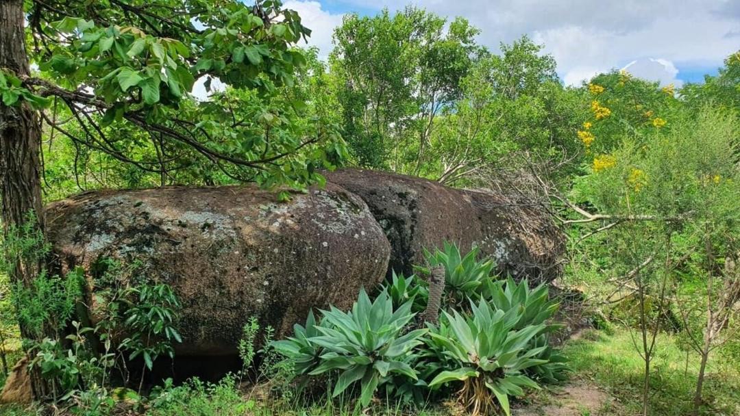Photo of Others in Guarapuava