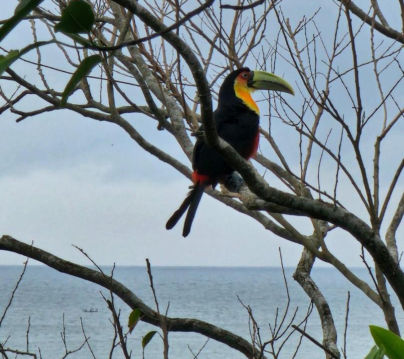 Photo of Others in Rio das Pacas
