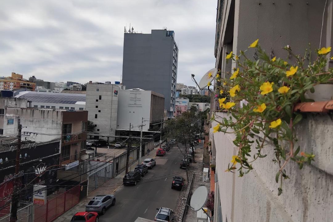 Photo of Others in Floresta