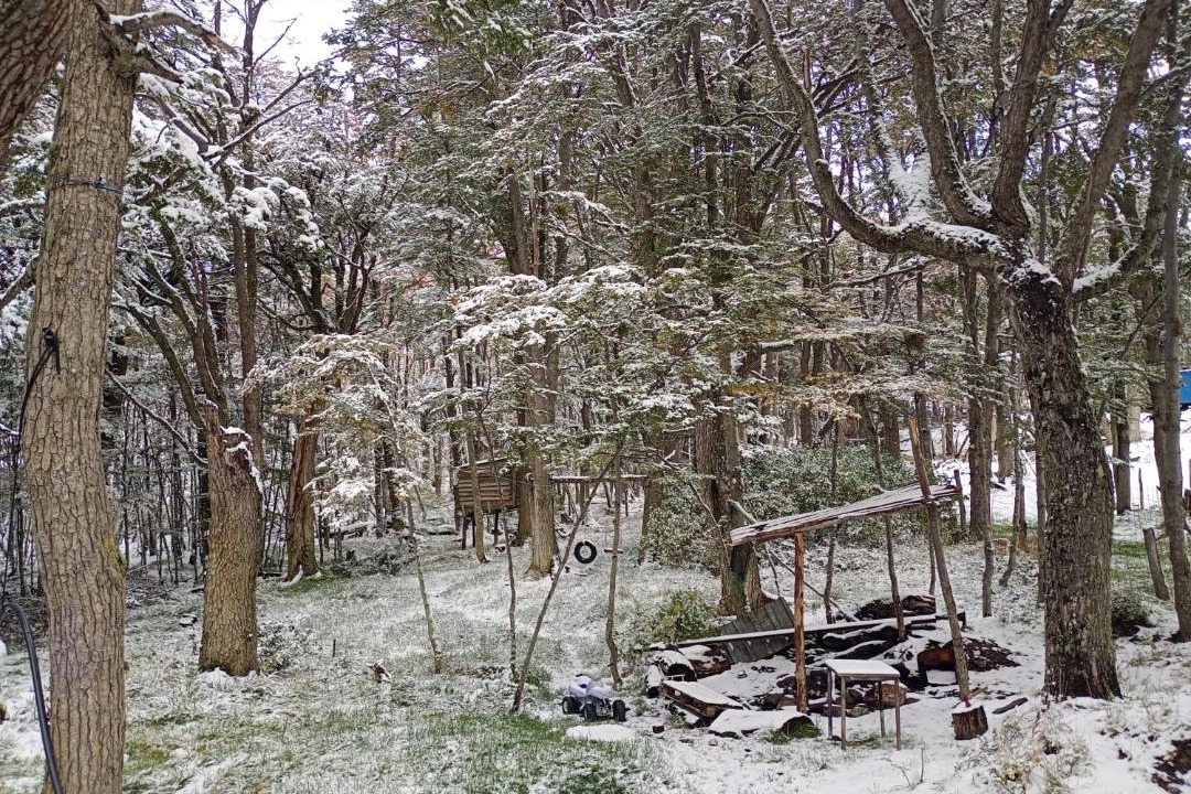 Photo of Others in Province of Tierra del Fuego